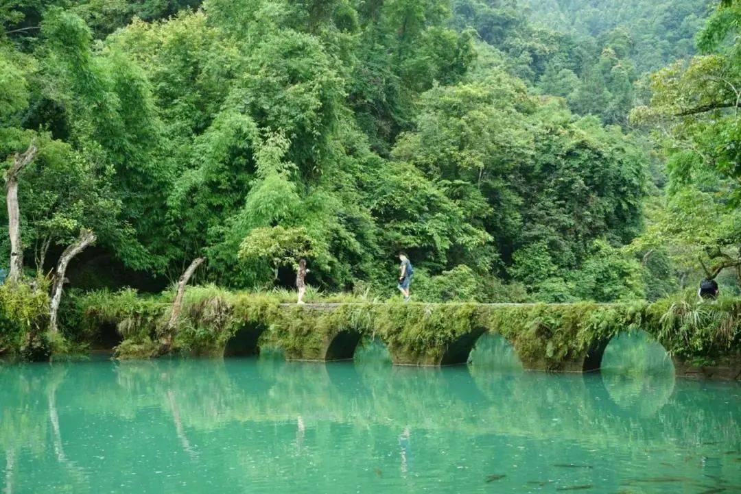 模拟山羊